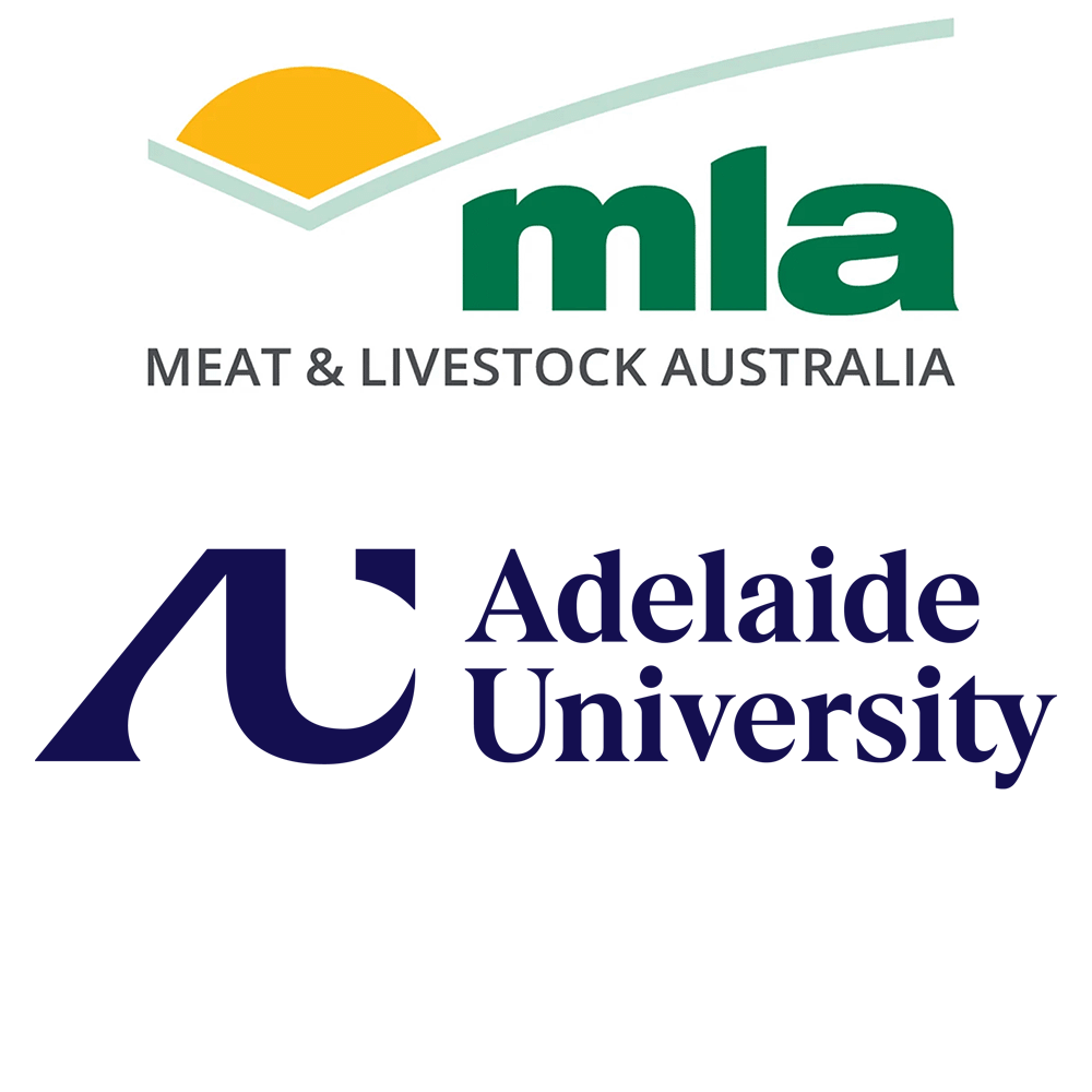 More Beef from Pastures